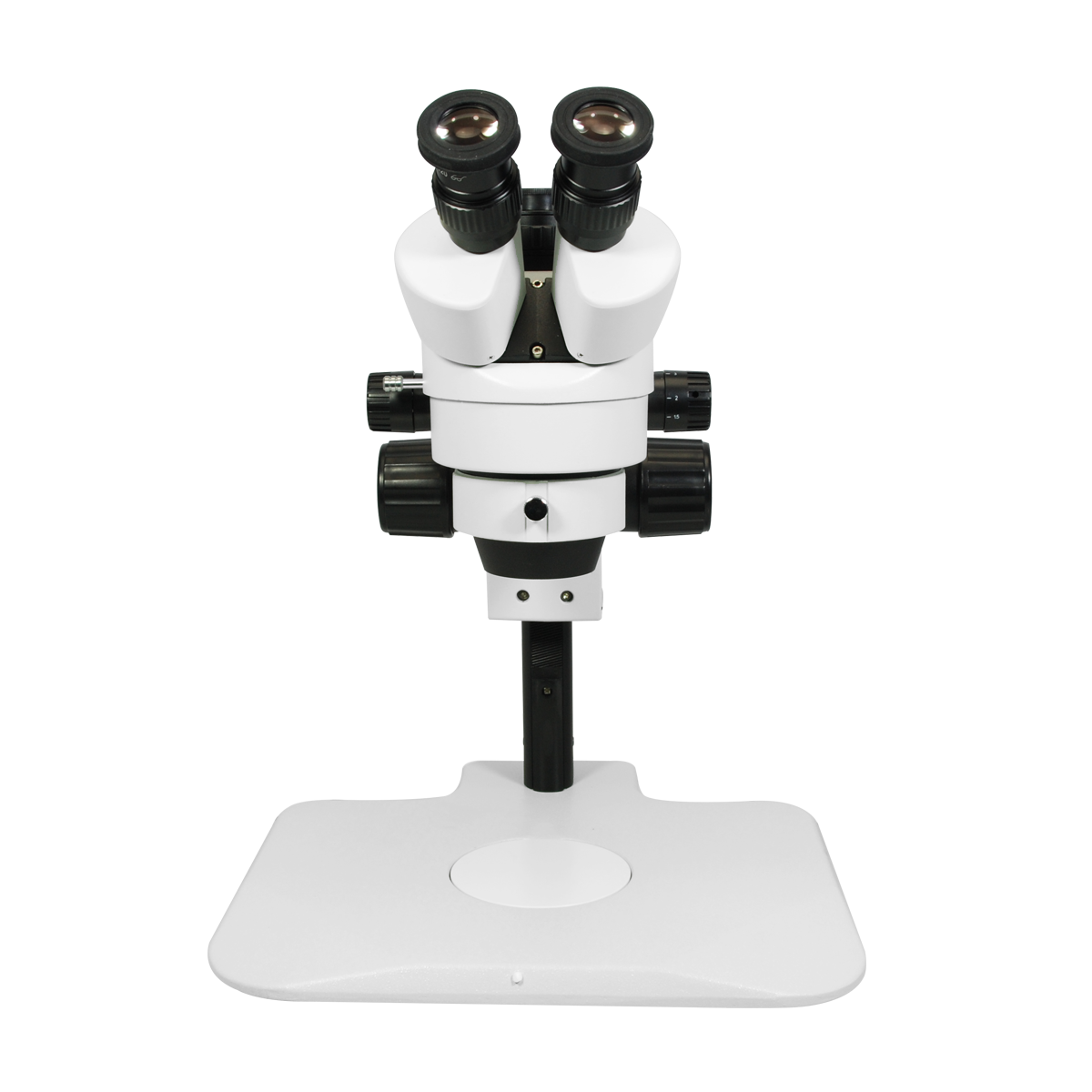 Stereo Microscope